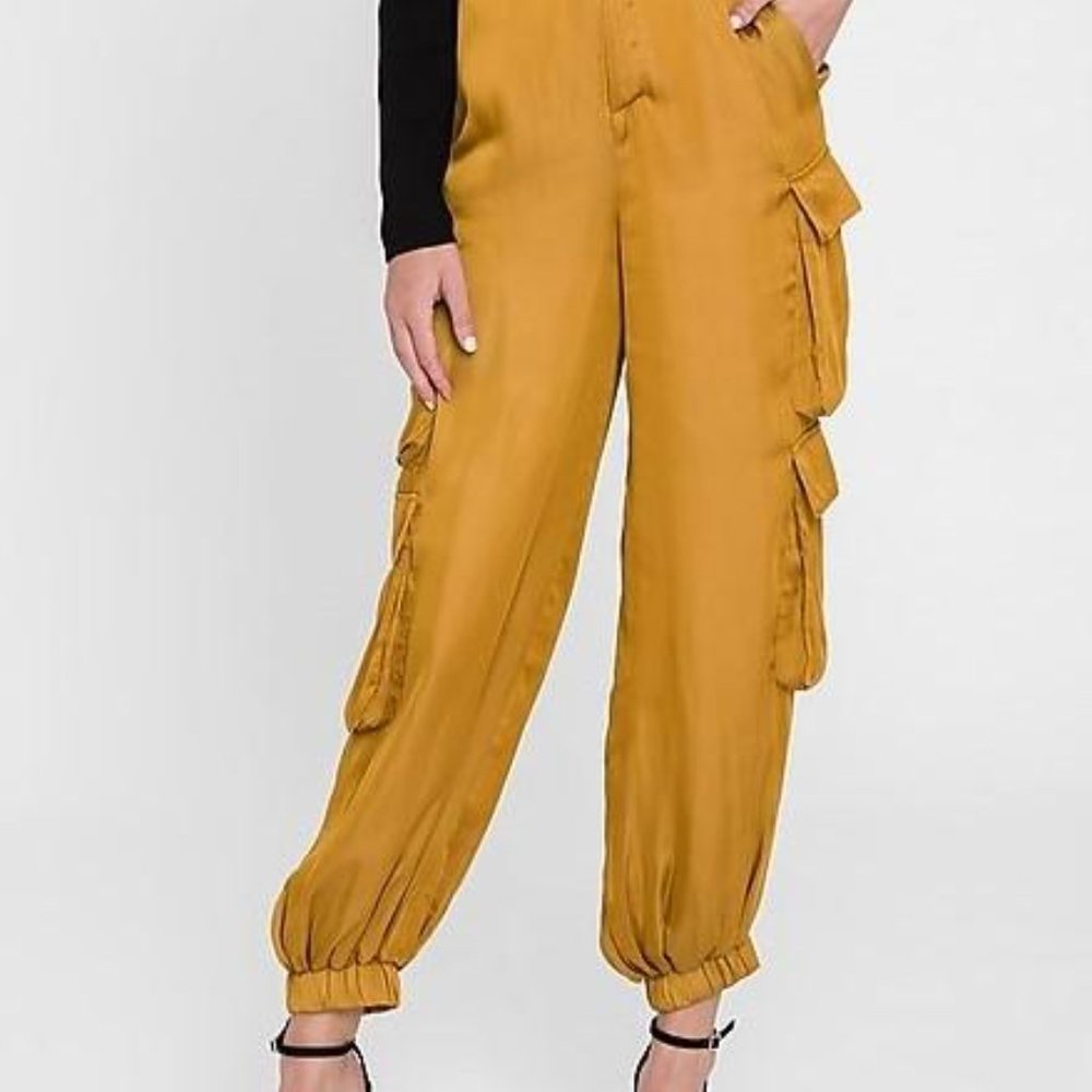 Parachute Cargo Pants NWT